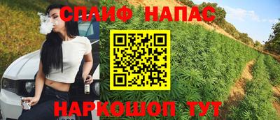 прущие грибы Донской